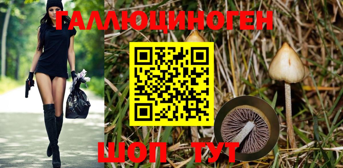 Галлюциногенные грибы MAGIC MUSHROOMS  Вход с VPN  купить закладку  Миасс 