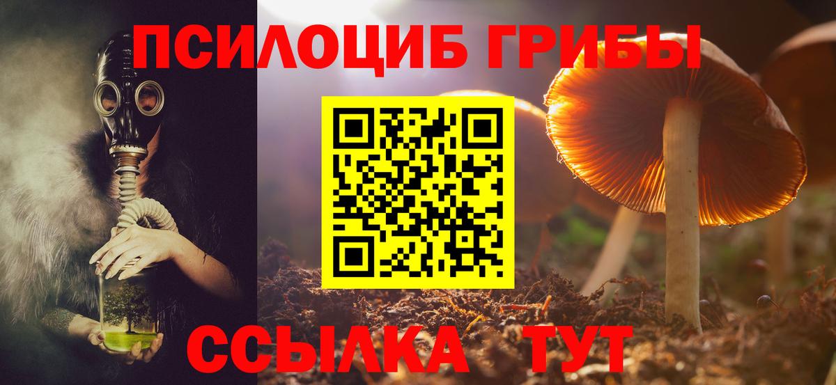Псилоцибиновые грибы Cubensis Миасс